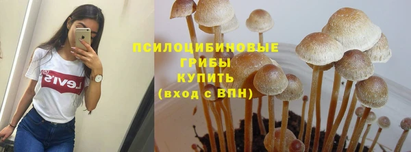 а пвп мука Алексин