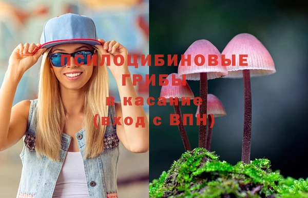 соль курить ск Алзамай