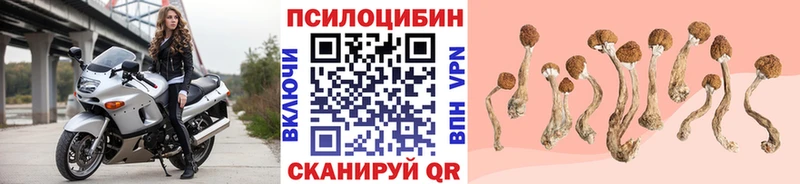 shop официальный сайт  Беслан  Галлюциногенные грибы ЛСД 